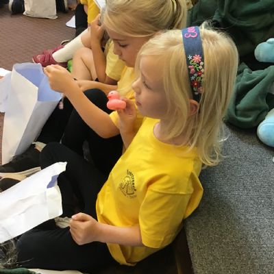 Mulberry Class 25-26